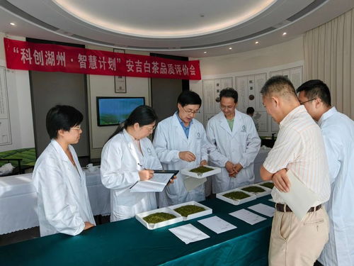 科創(chuàng)湖州 智慧計(jì)劃——中國茶葉學(xué)會茶產(chǎn)業(yè)服務(wù)團(tuán)走進(jìn)安吉活動策劃方案